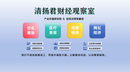 丸美生物赴港上市 化妆品巨头的新征程与软件开发角色的再审视